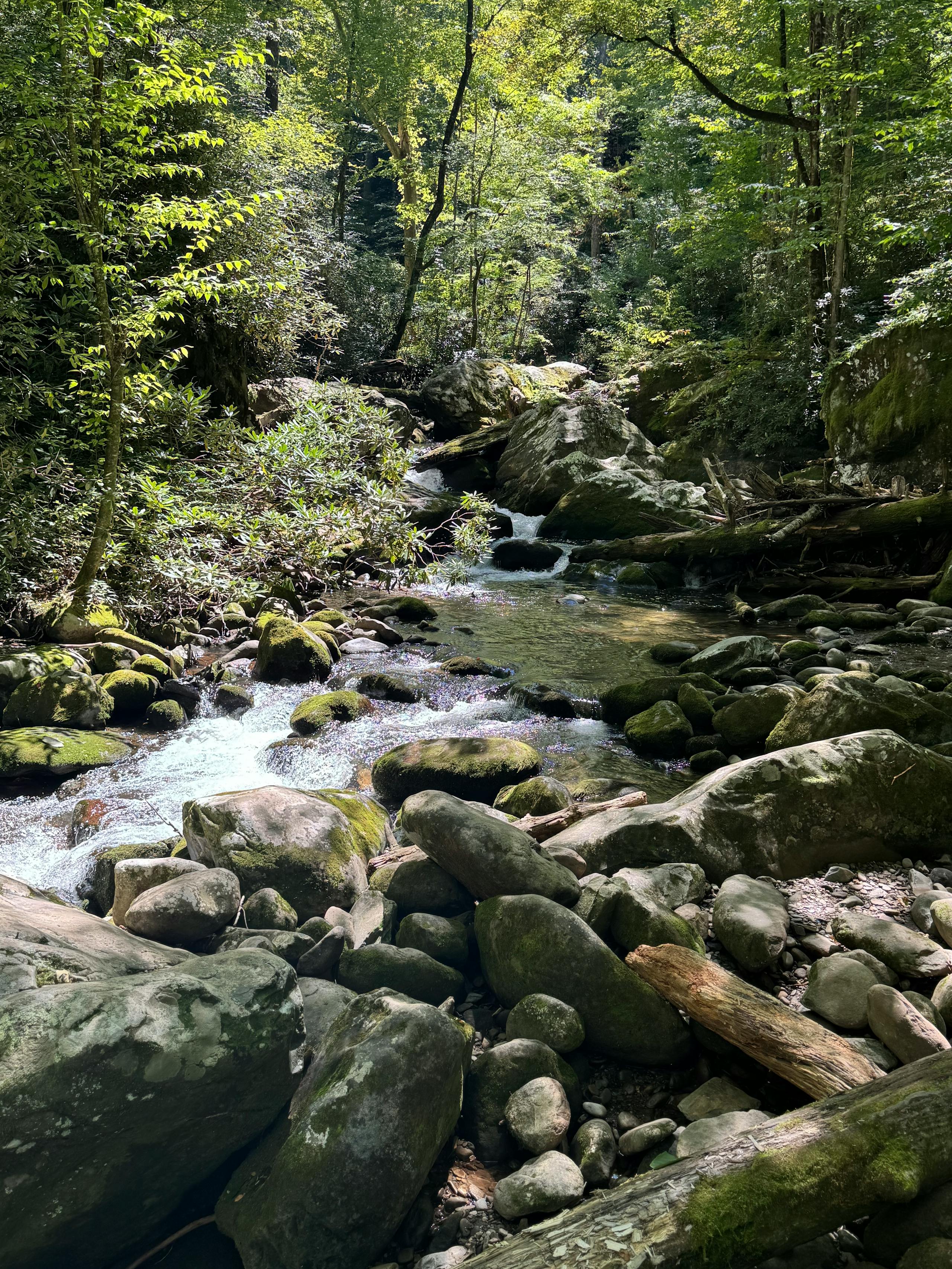 Elk River