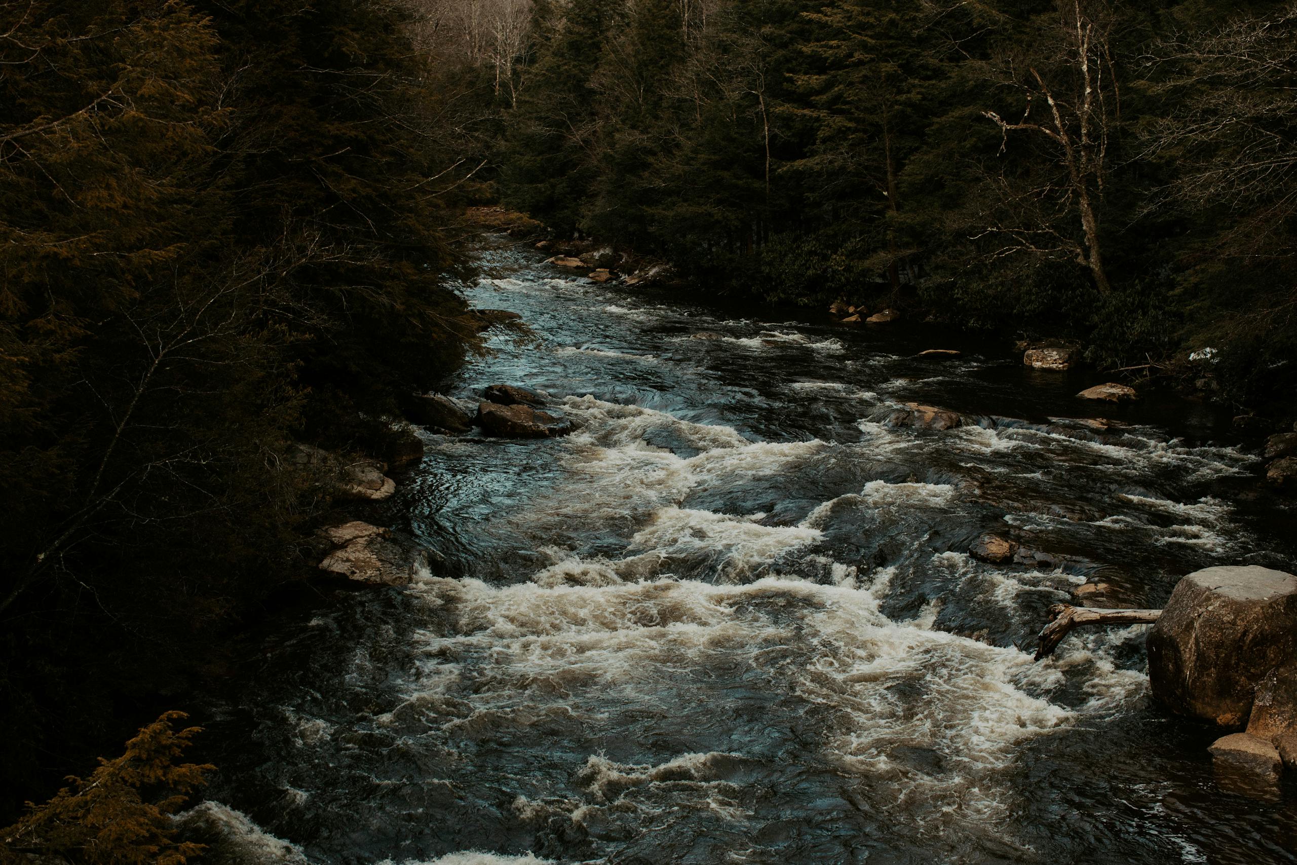 Elk River