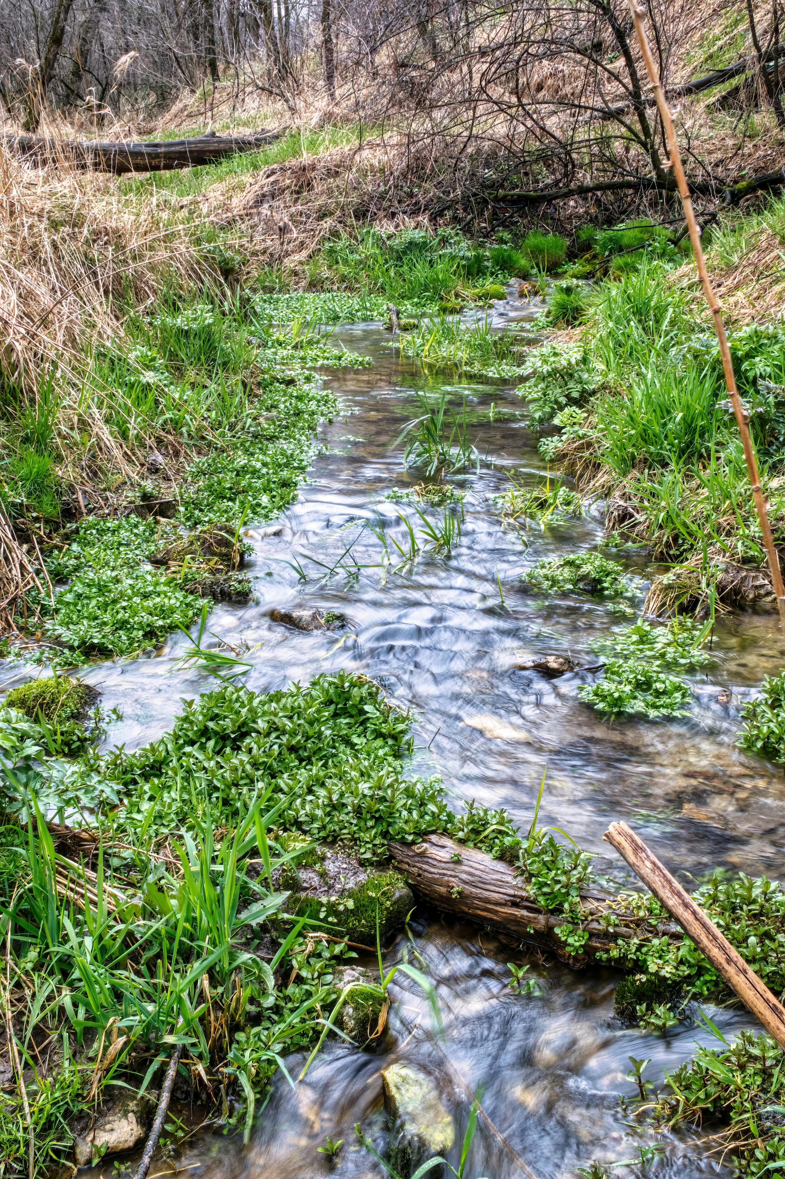 Letort Spring Run fly fishing