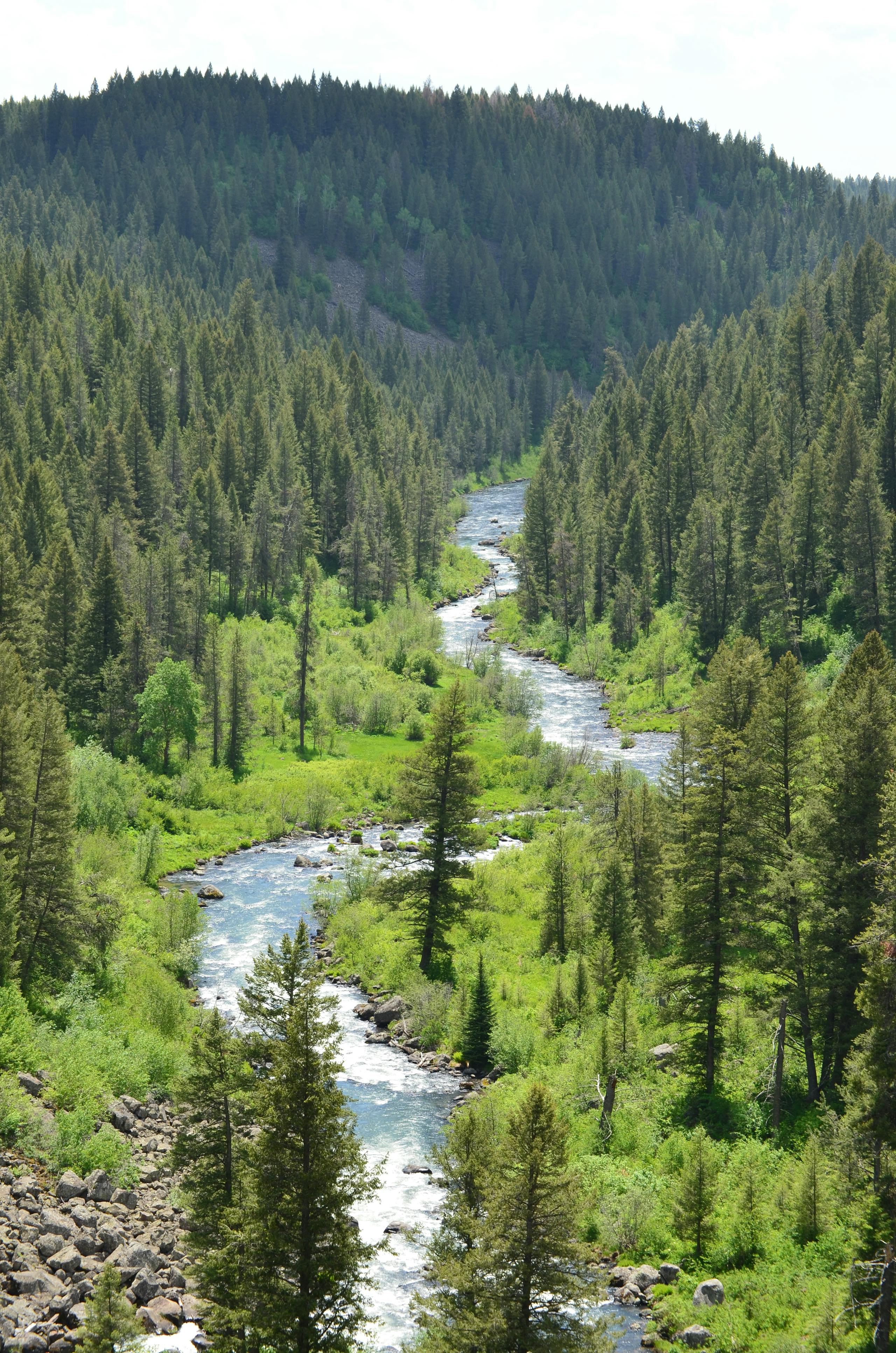 Lochsa River