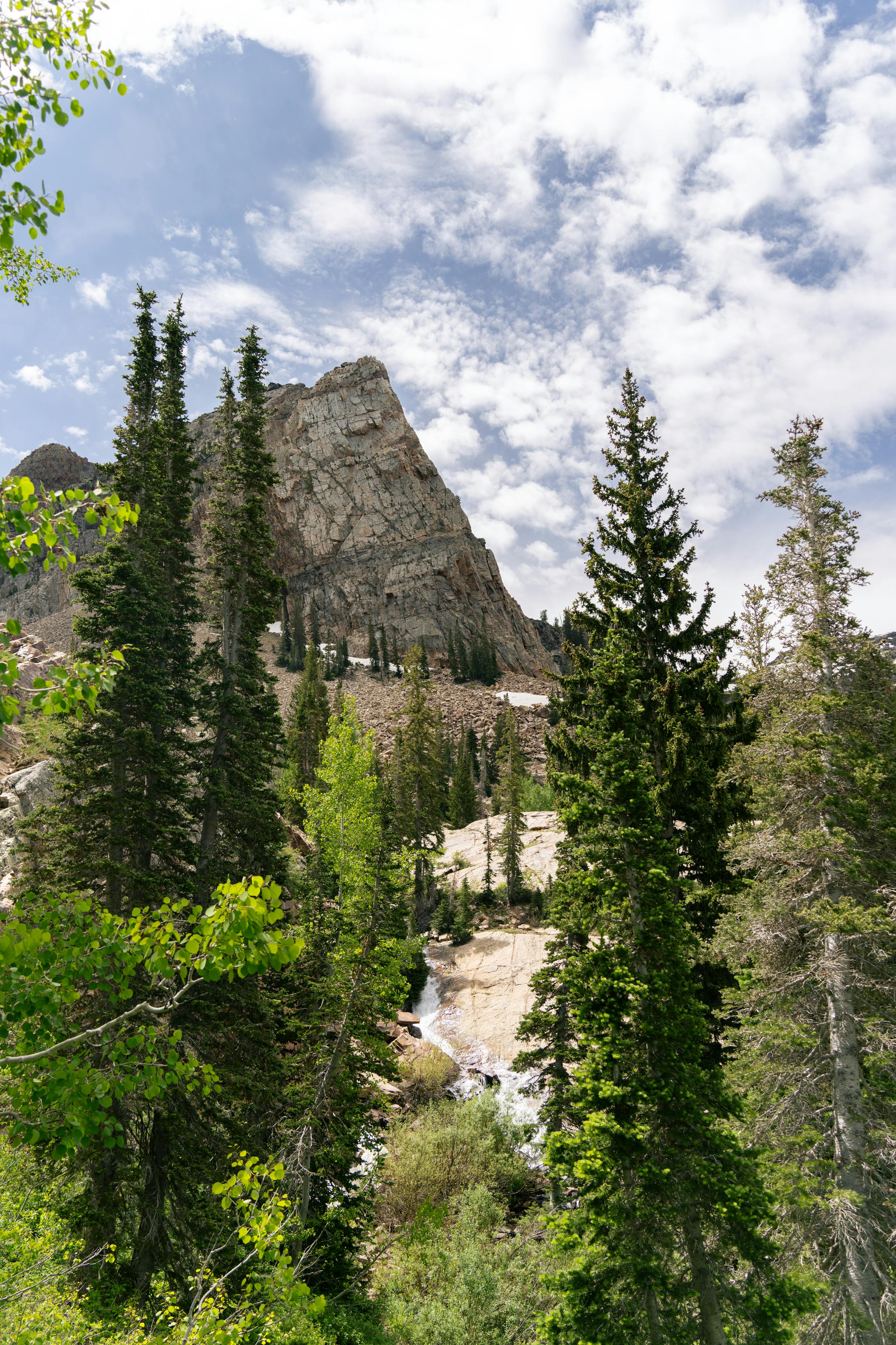 Logan River