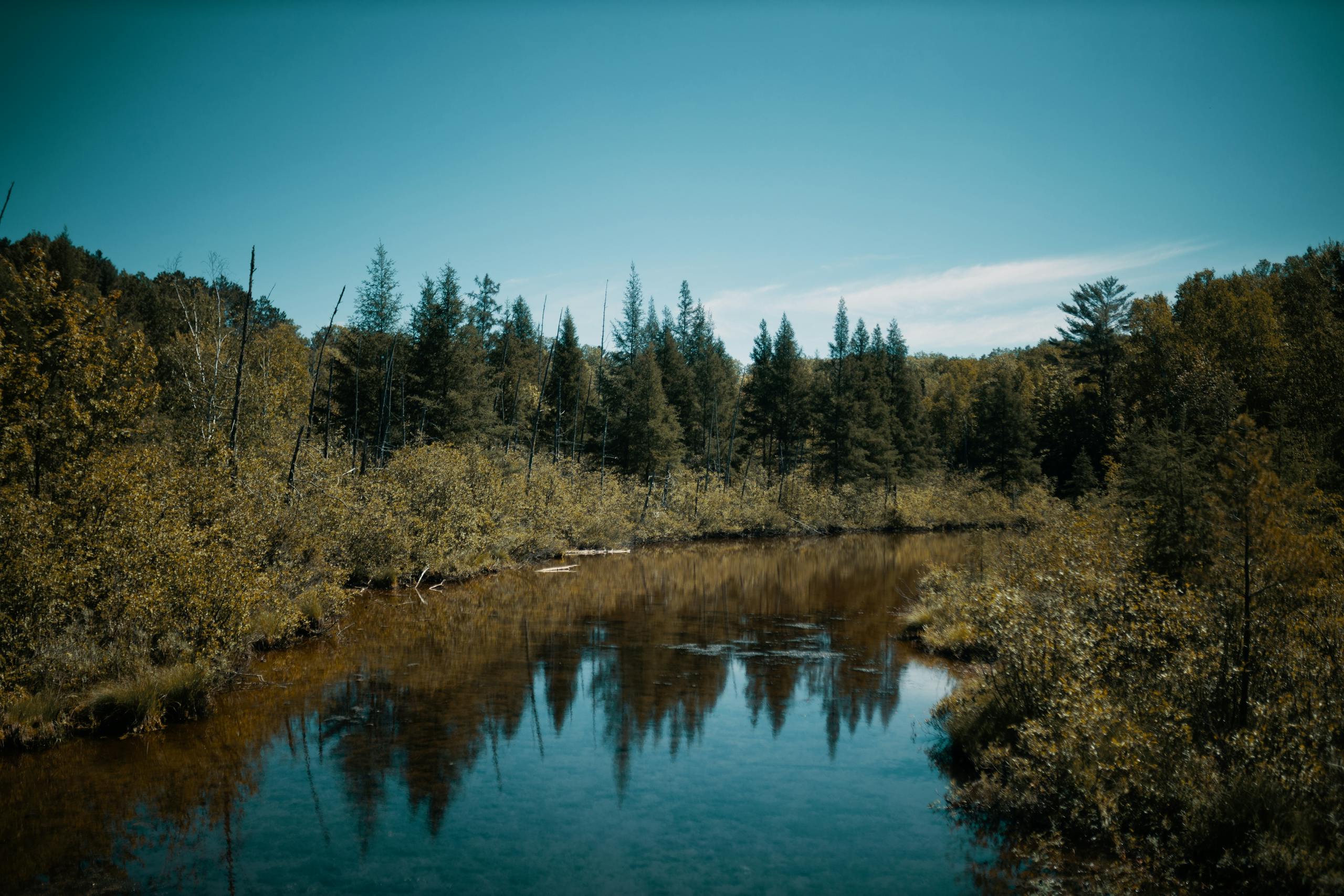 Manistee River fly fishing
