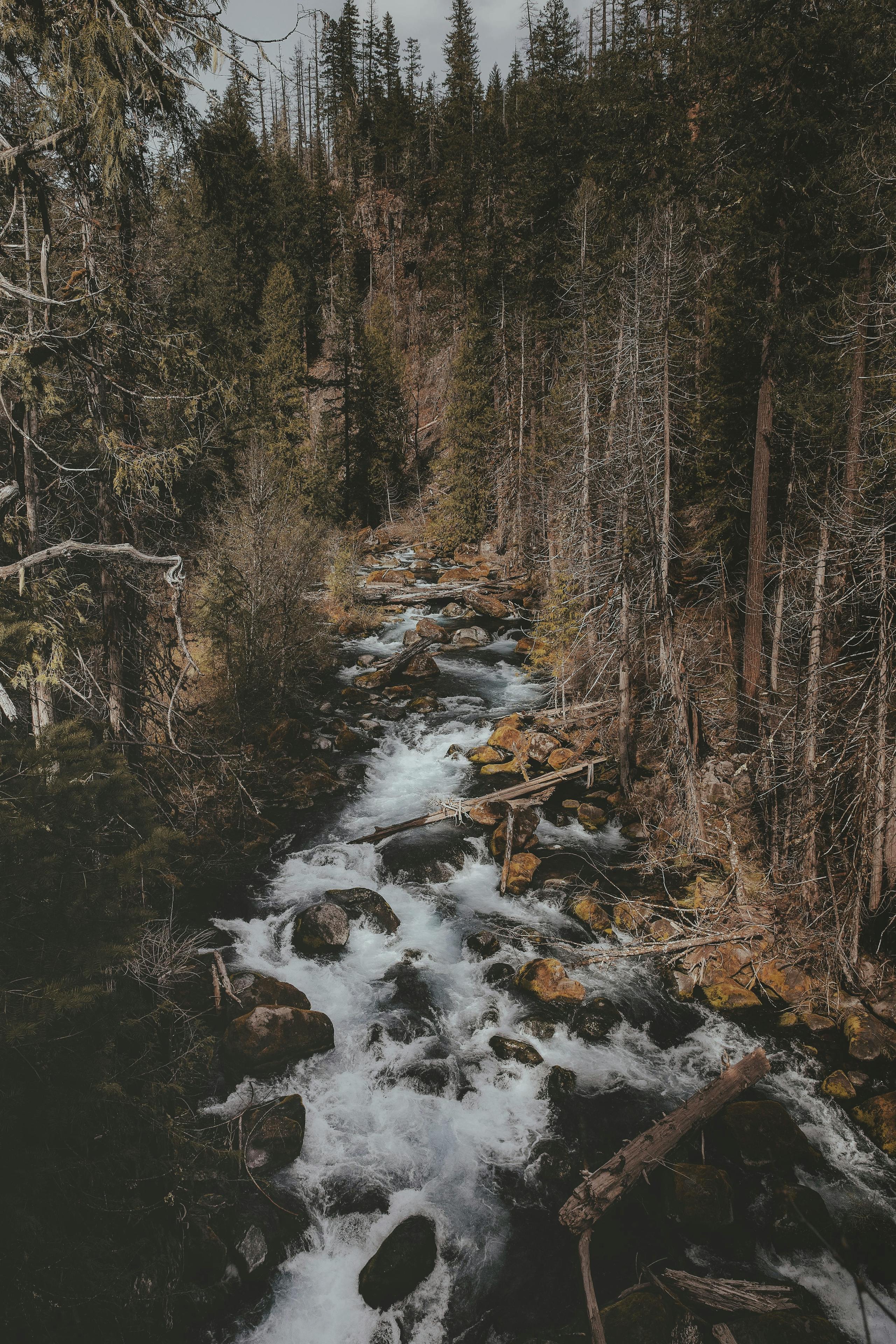 McCloud River