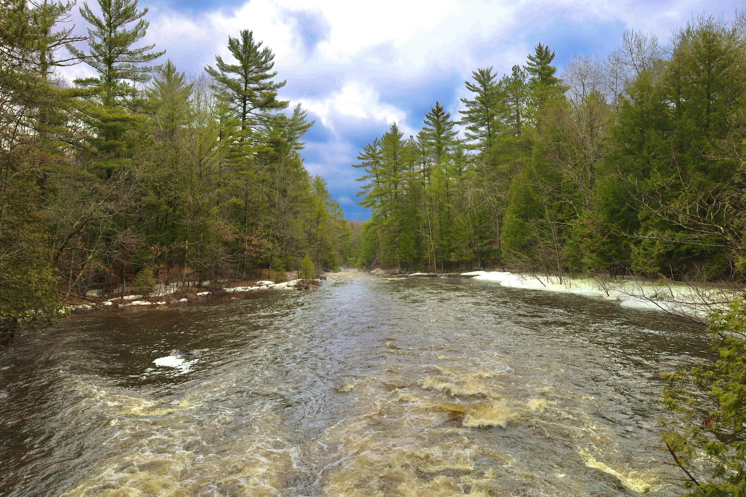 Muskegon River