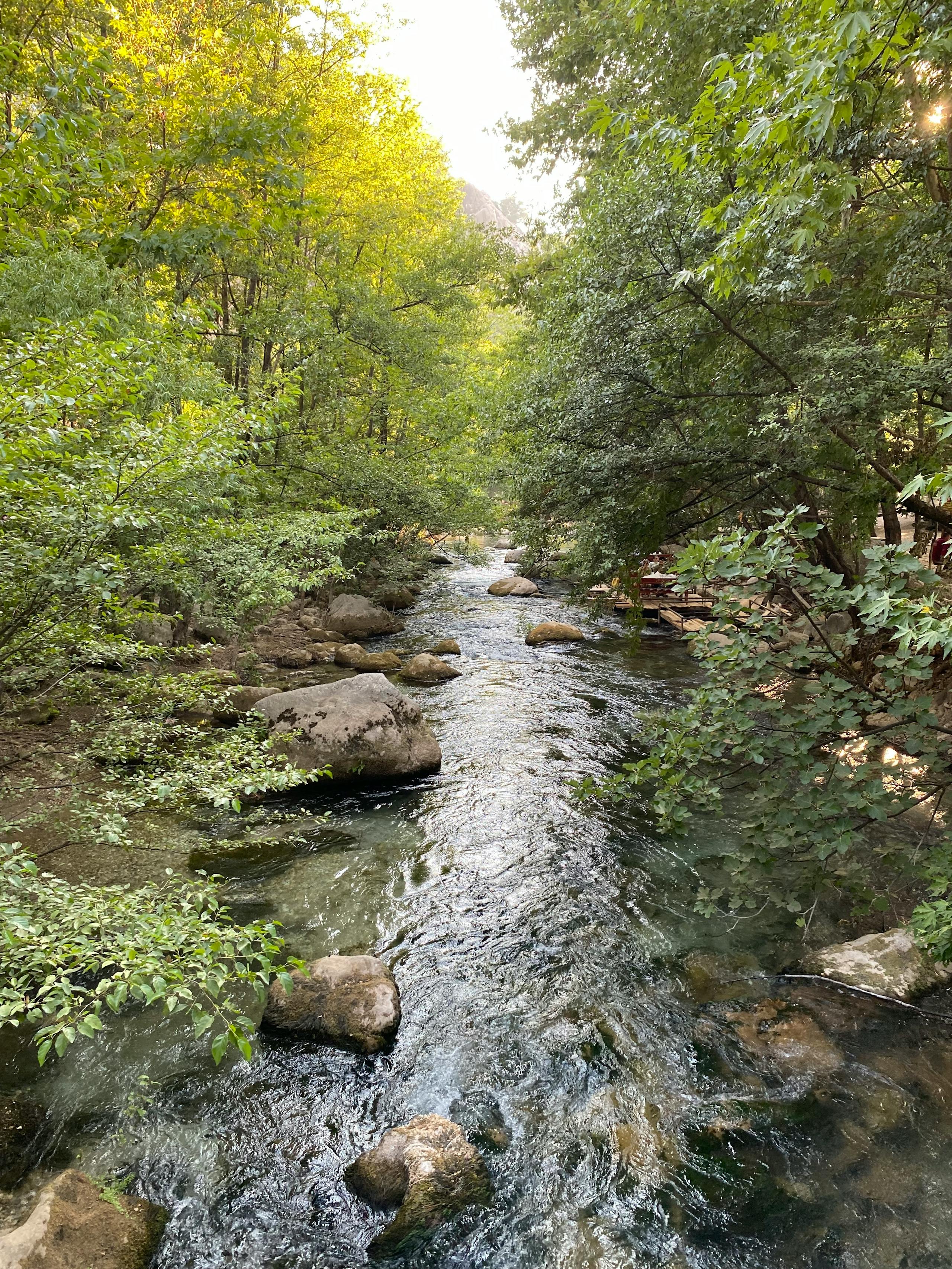 Penns Creek fly fishing