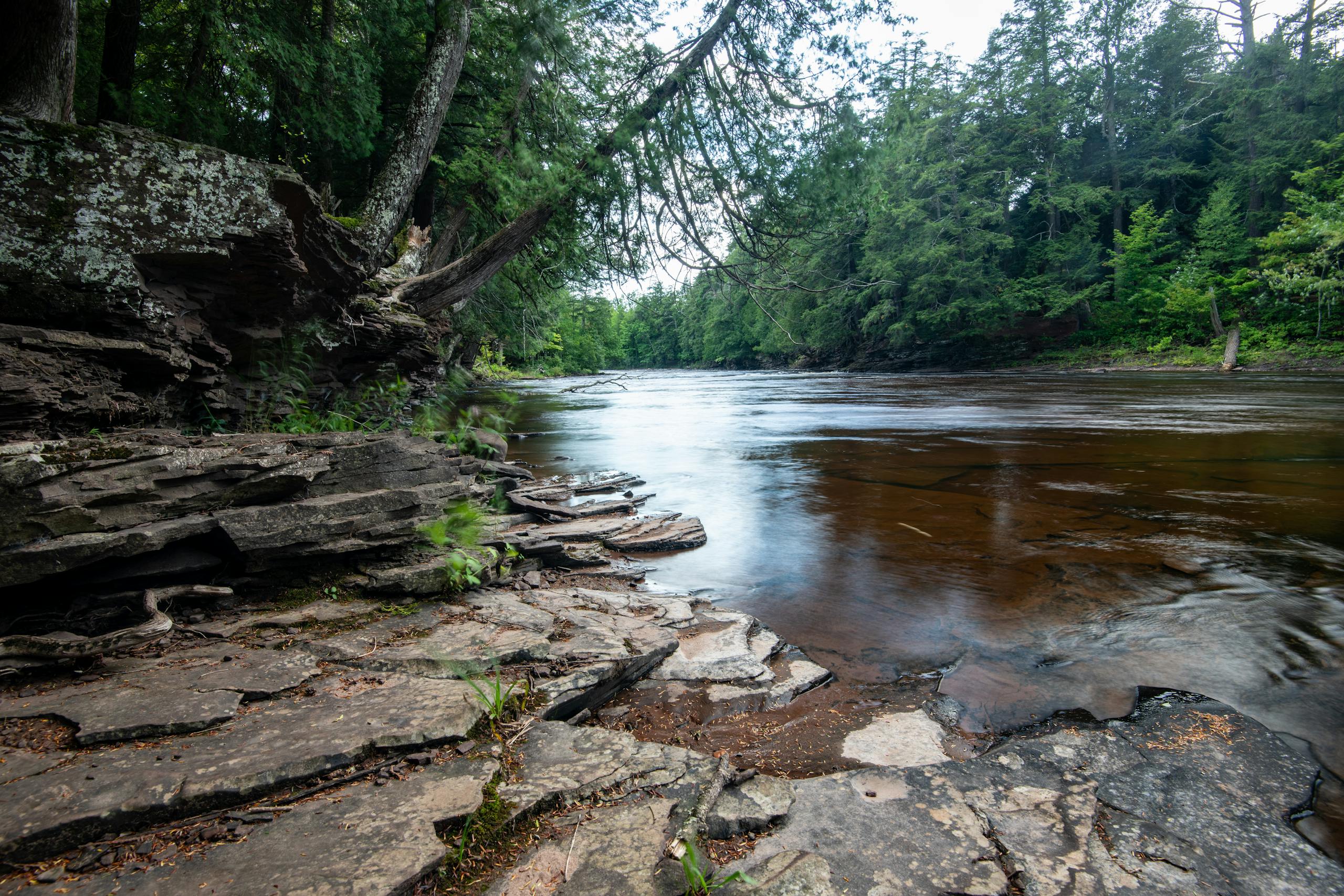 Pere Marquette River fly fishing