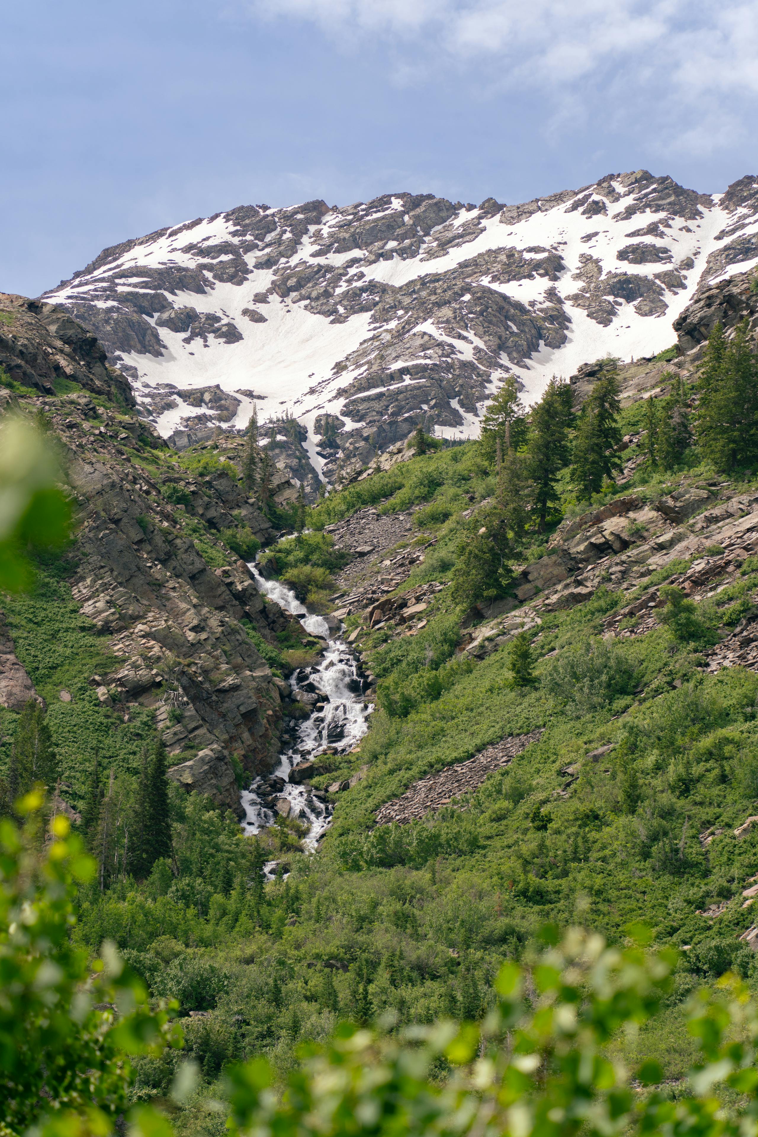 Provo River fly fishing