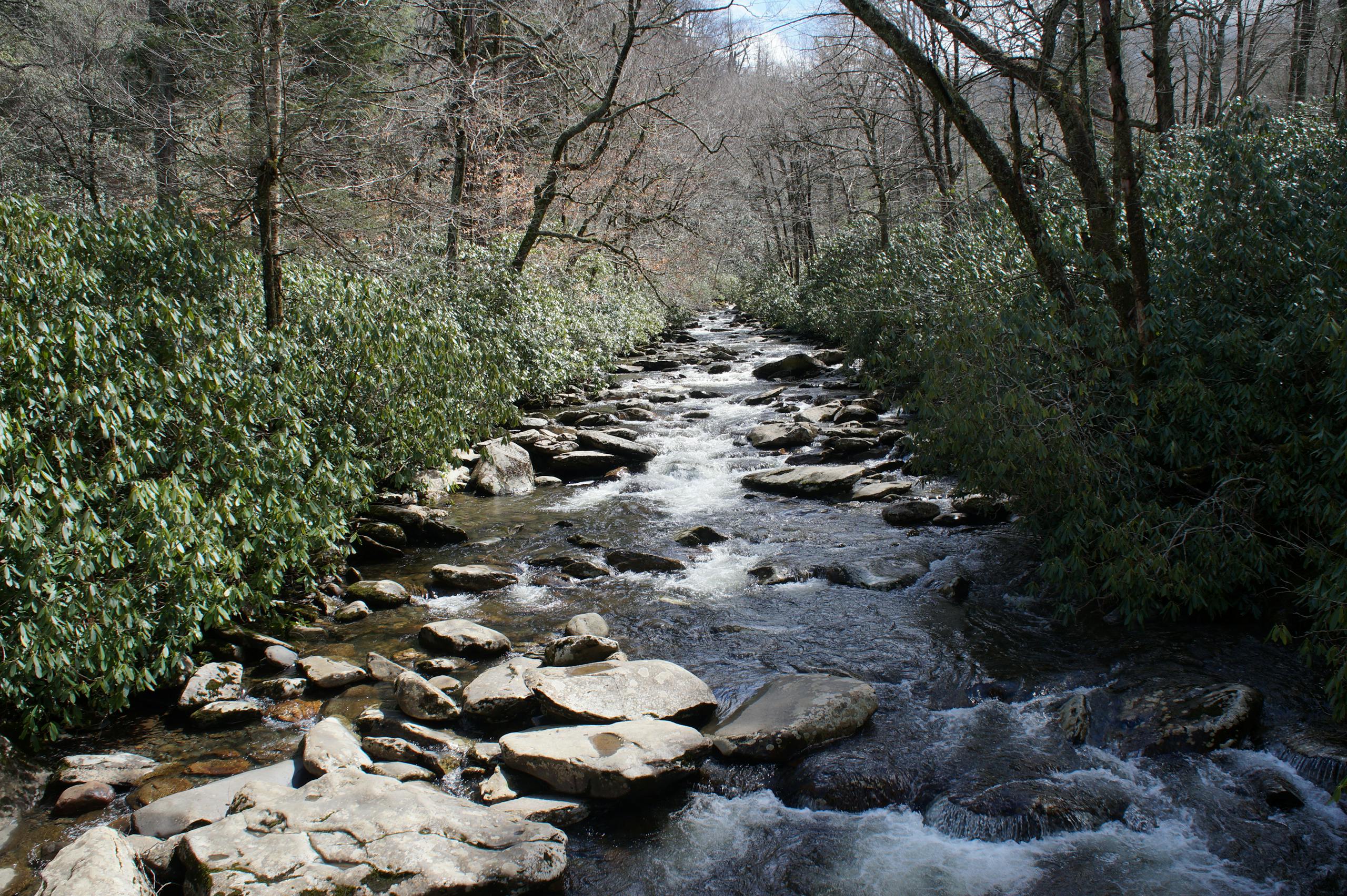 Rapidan River