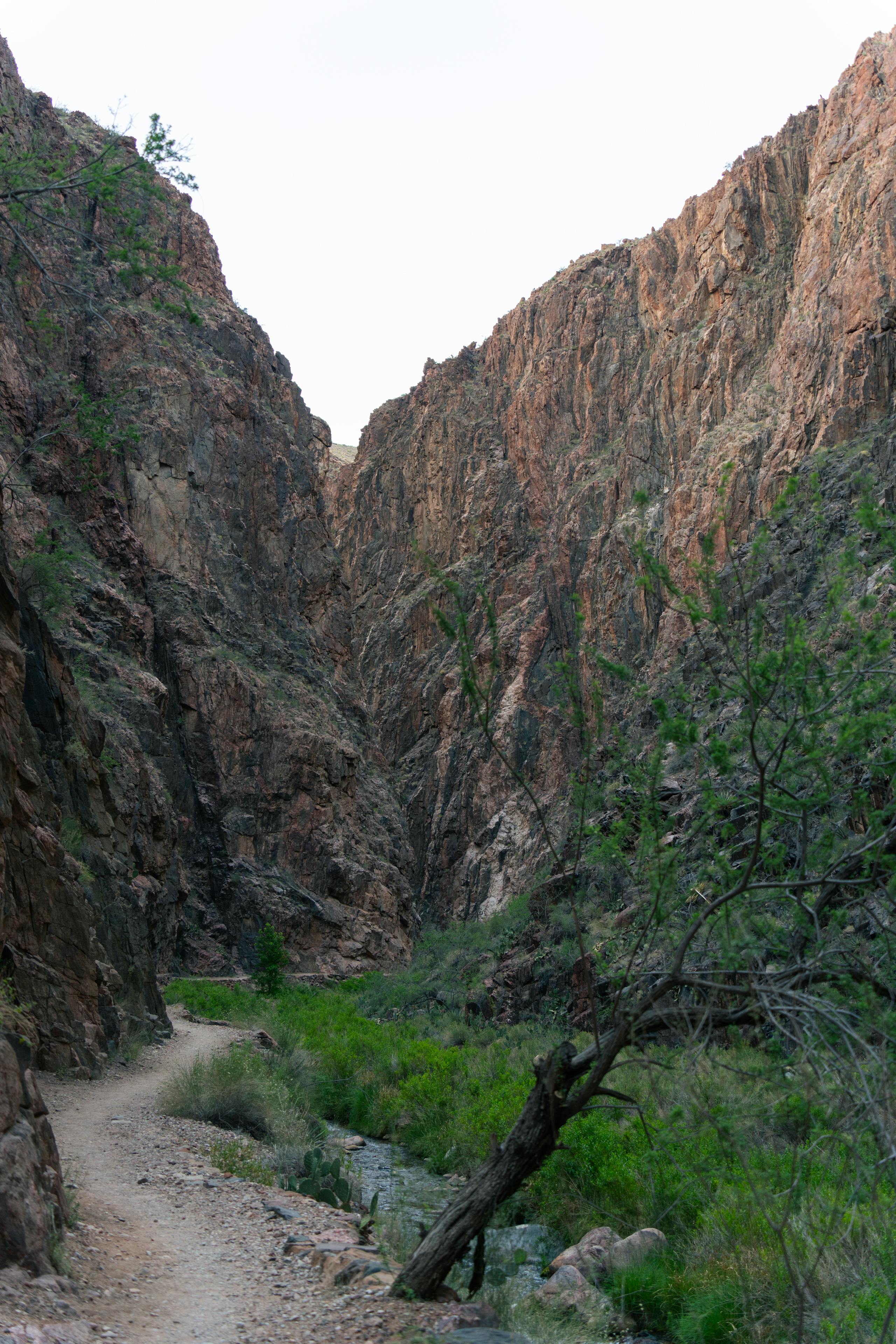 Rio Grande — Taos Box