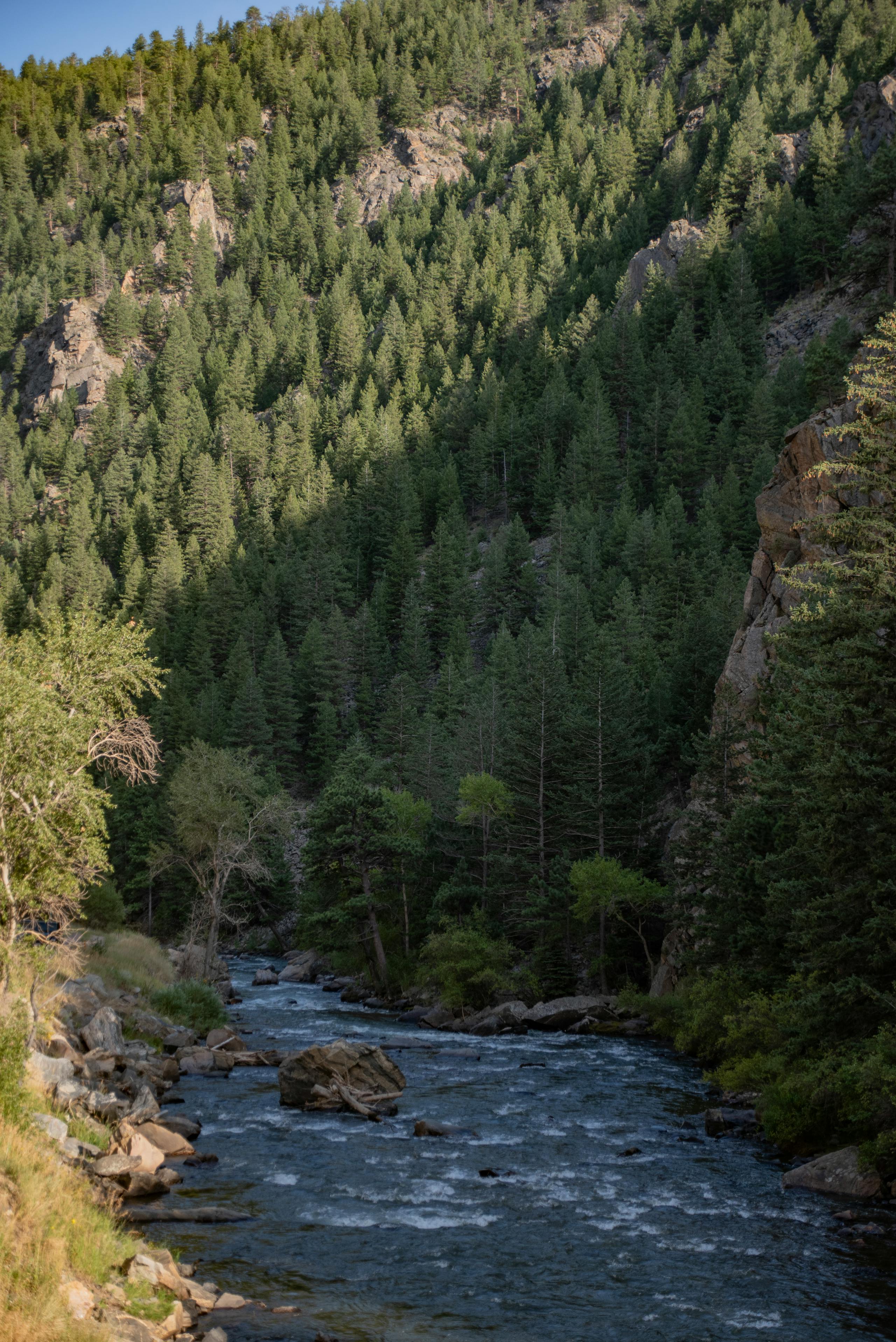 Roaring Fork River