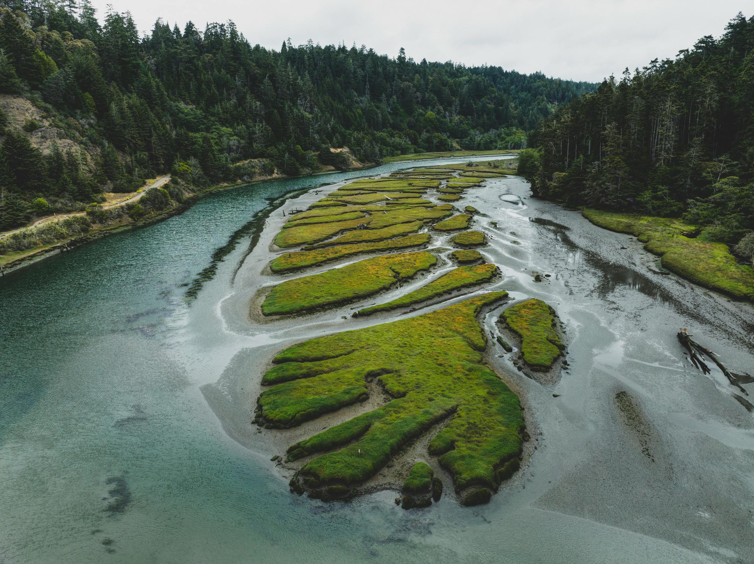 Rogue River