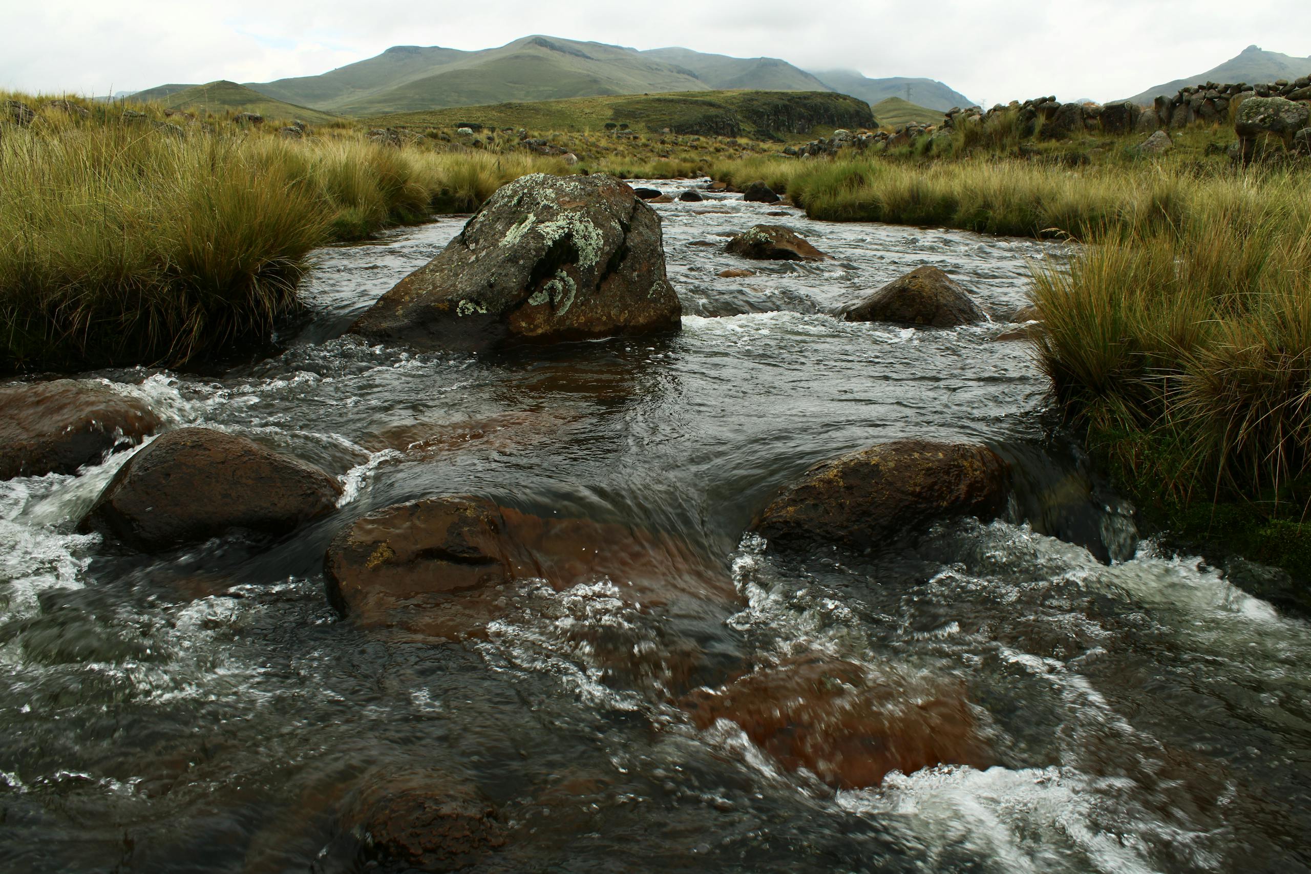 Ruby River