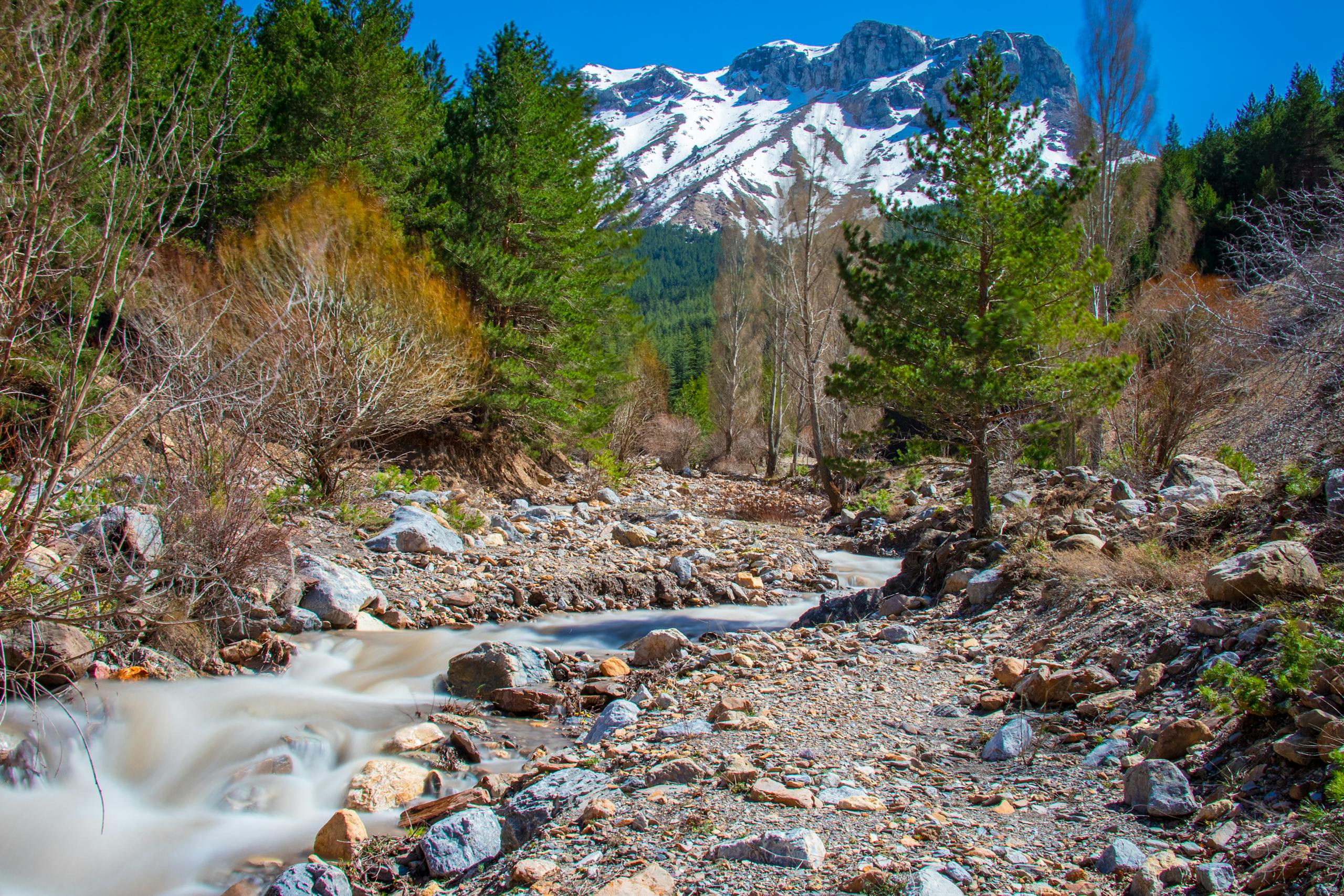 Selway River