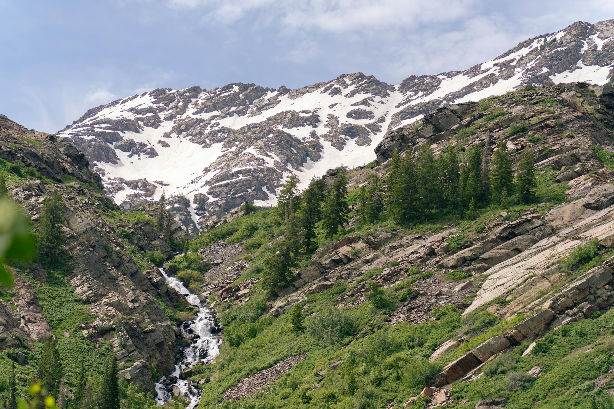 Smith and Morehouse Creek