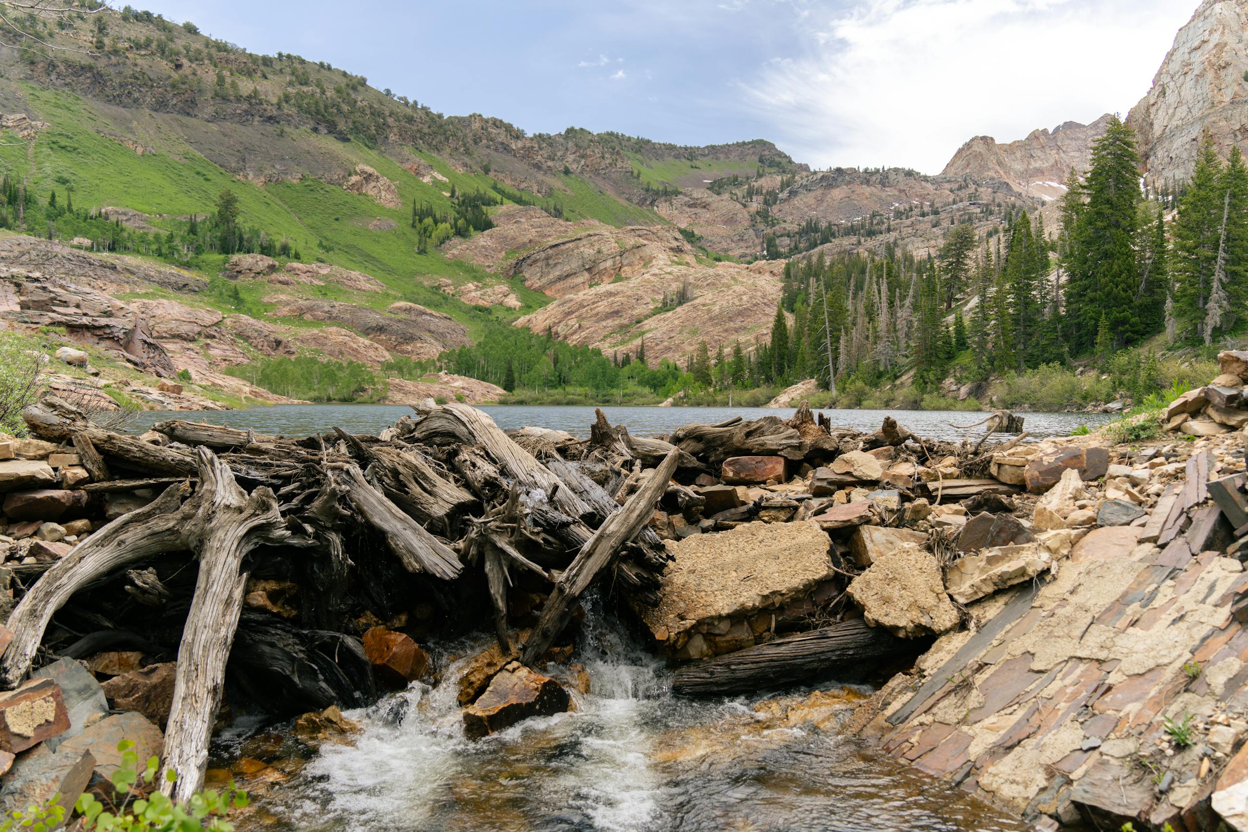 Strawberry River