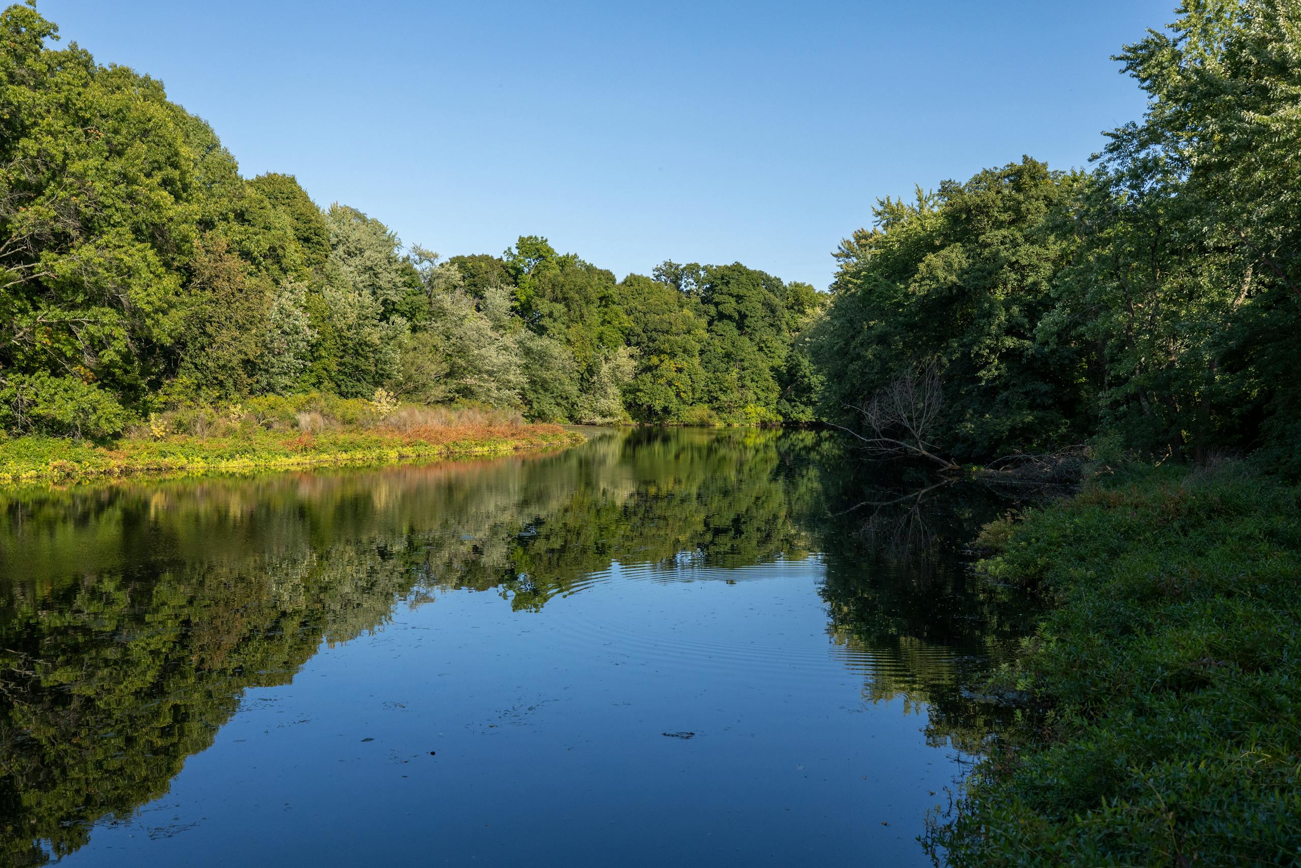 Swift River