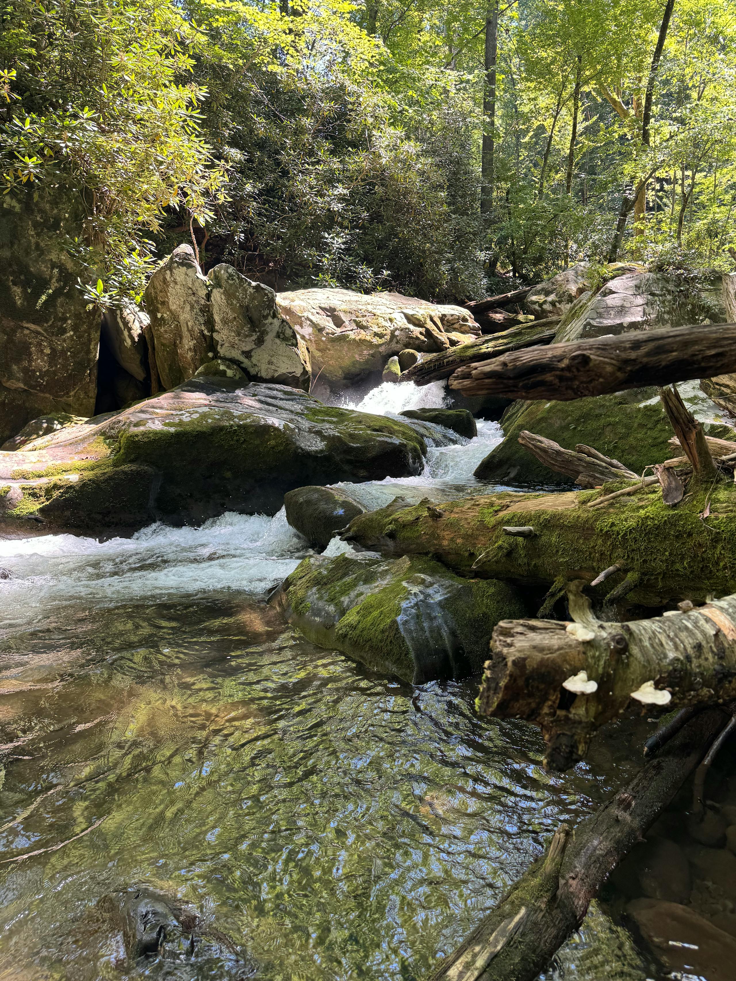 Tuckasegee River