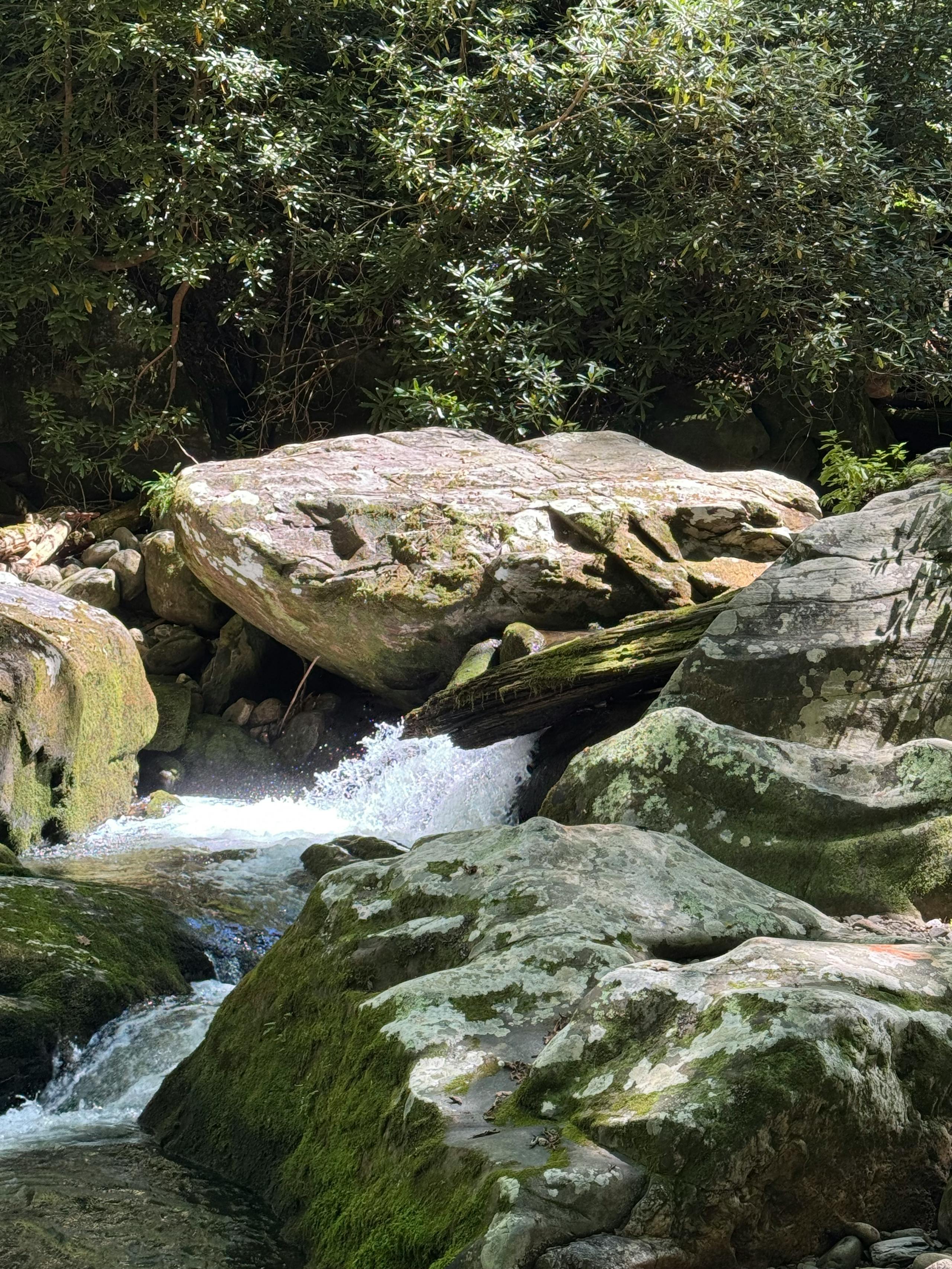 Watauga River