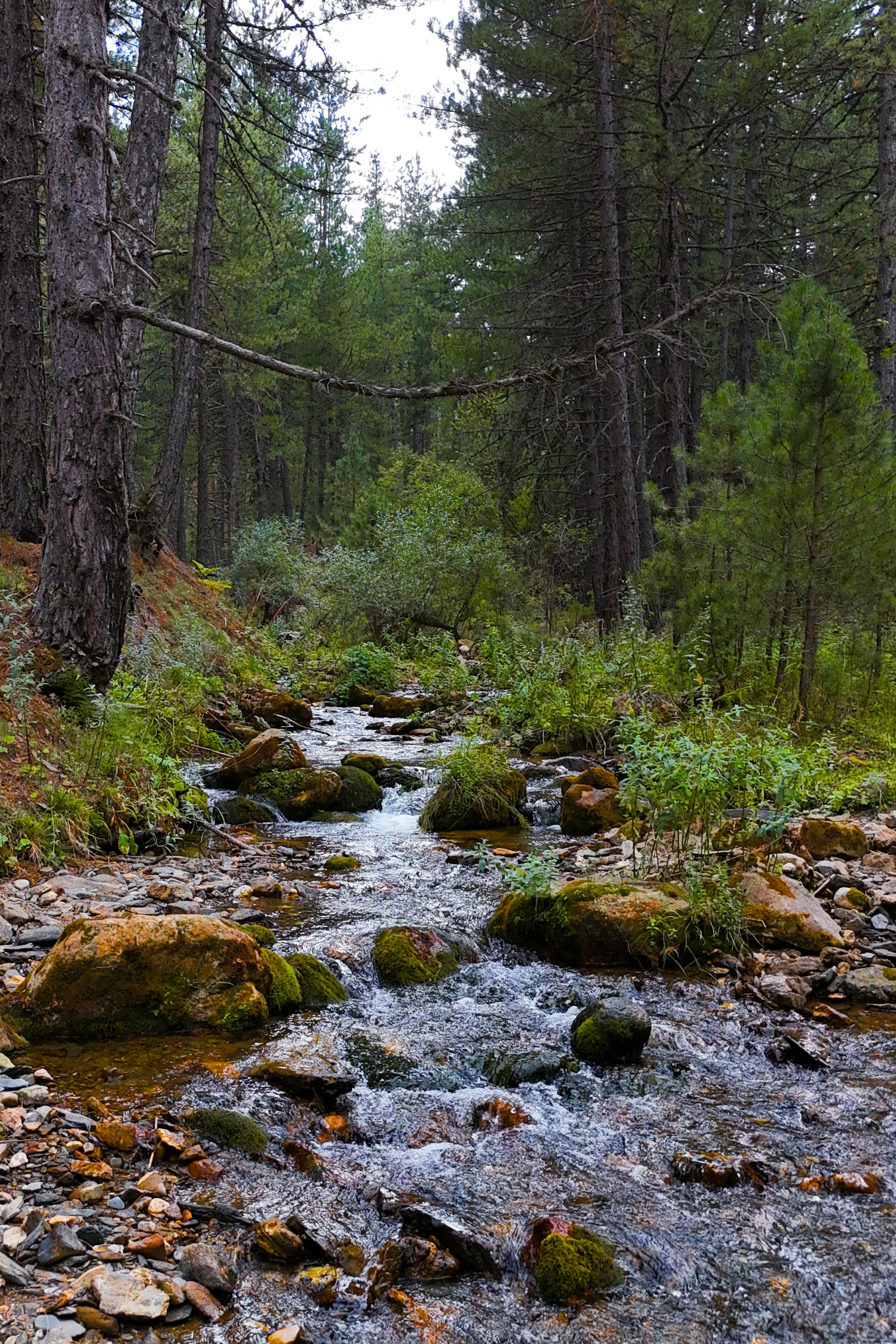White River — White Mountains