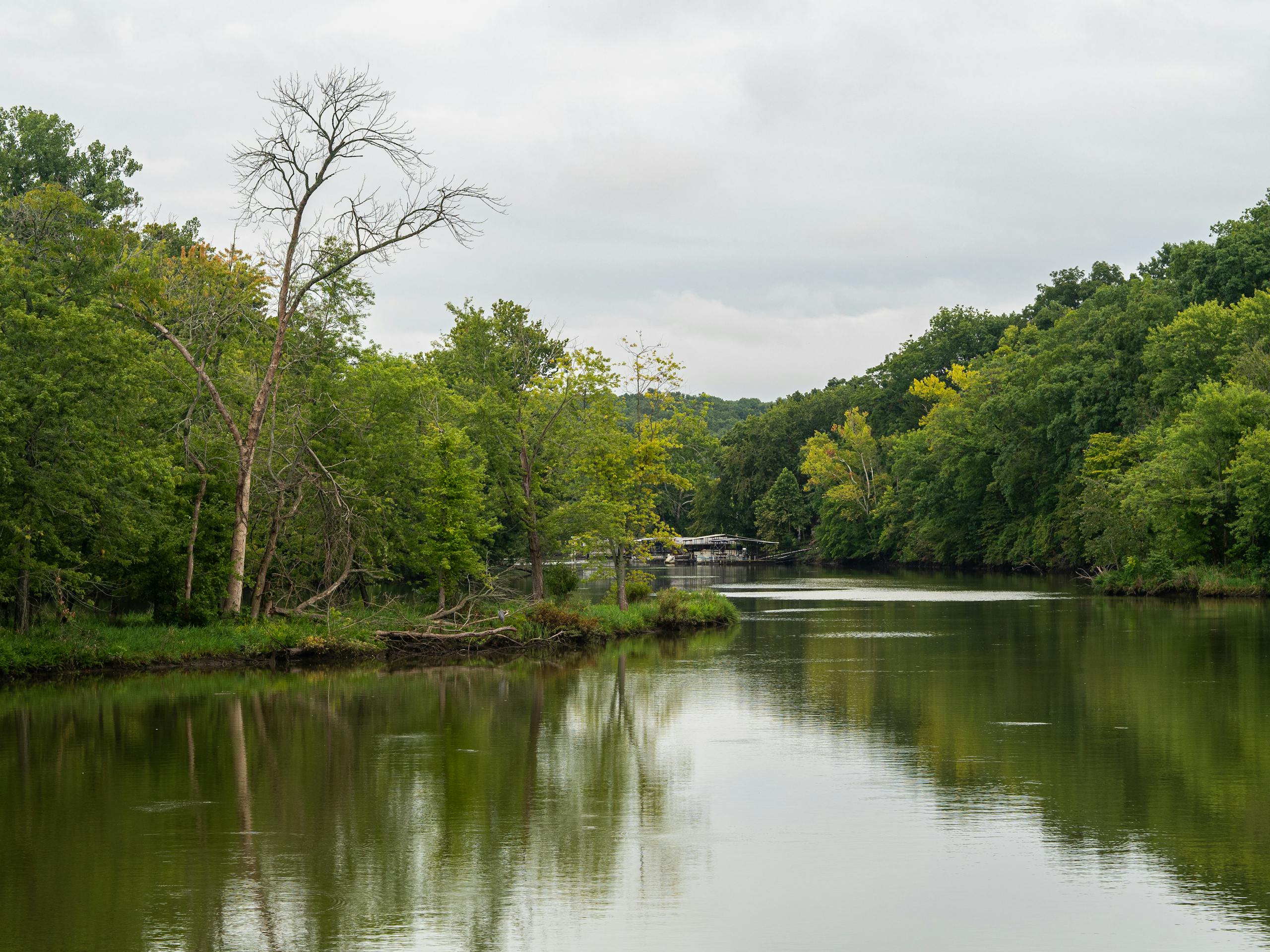 White River (Arkansas) fly fishing