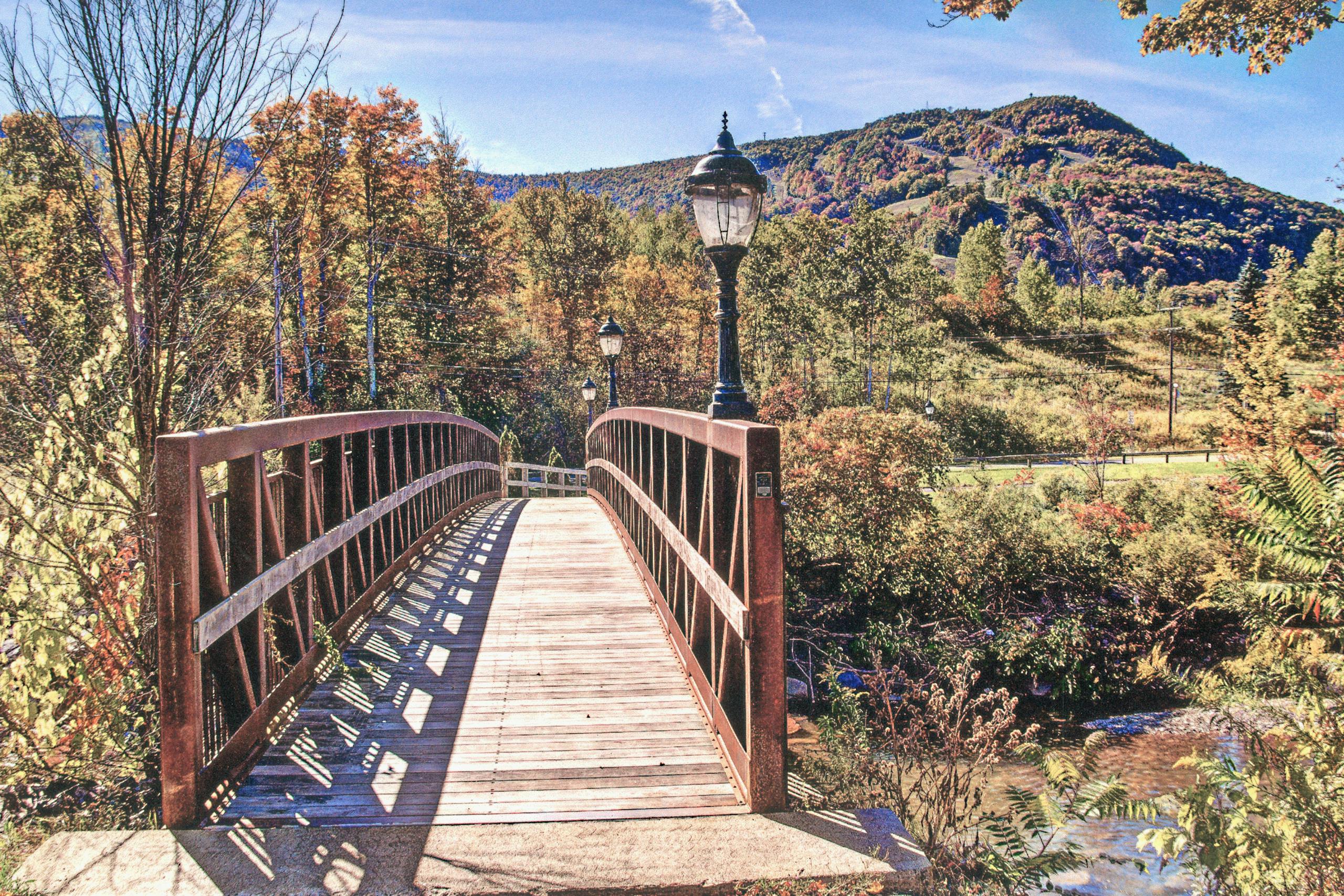 Willowemoc Creek