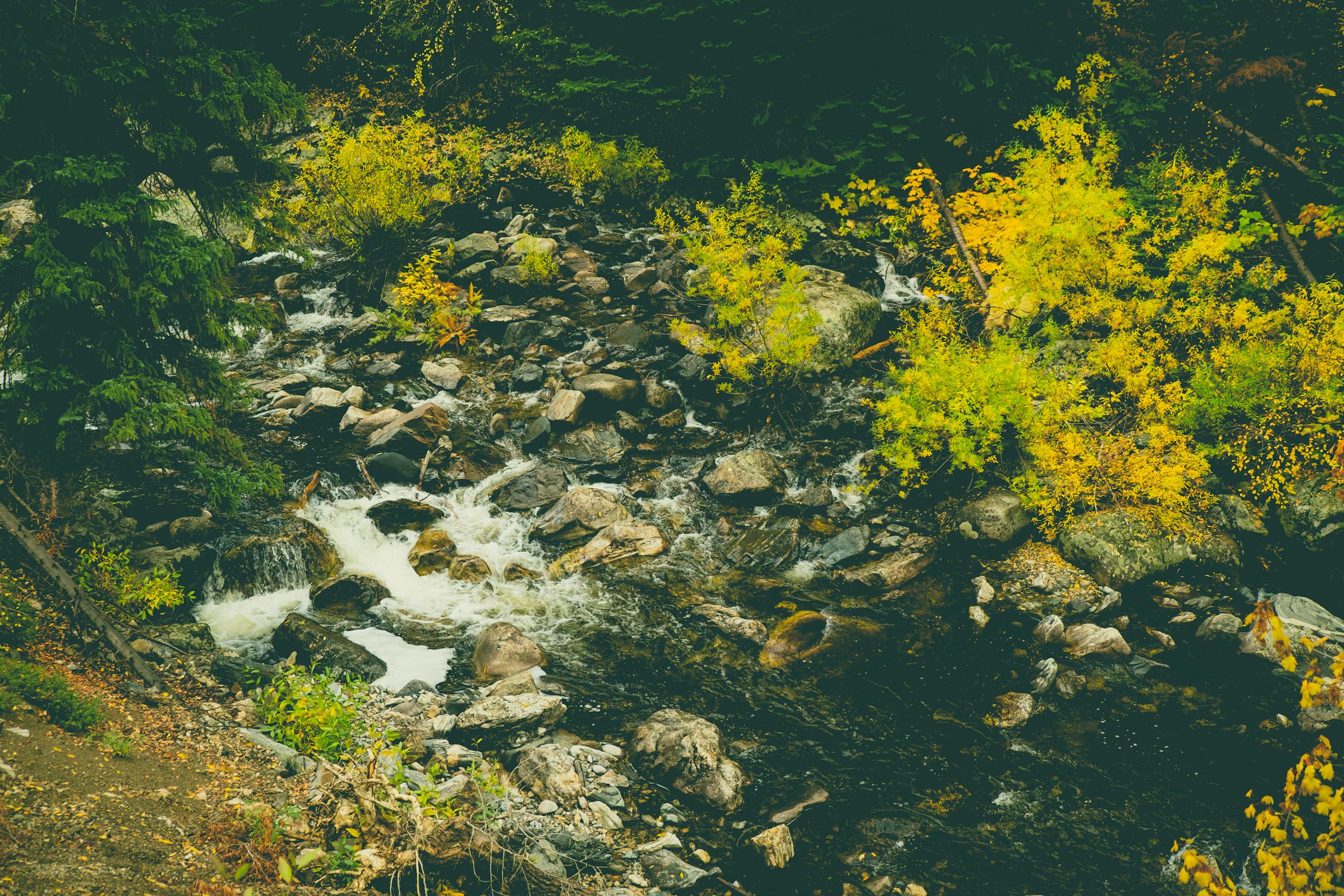 Yampa River
